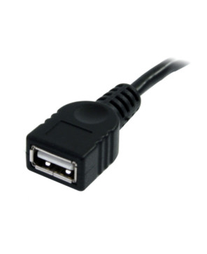 Buy StarTech 3ft Black USB 2.0 Extension Cable A to A Male to Female USBEXTAA3BK