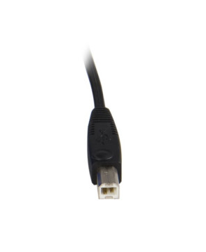 Buy Startech 6ft 2-in-1 USB Cable SVUSB2N1_6 for KVM Switch