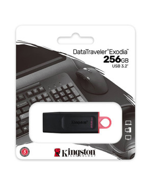 Buy Kingston DataTraveler Exodia 256GB USB 3.2 Gen 1 Flash Drive DTX/256GB