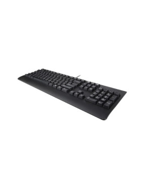 Buy Lenovo 4X30M86879 Preferred Pro II USB Keyboard