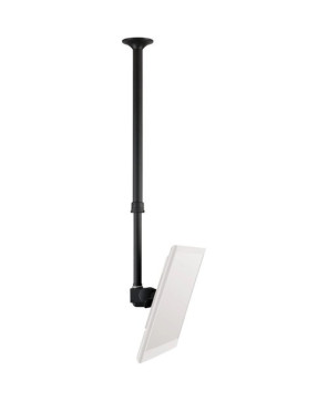 Buy Atdec Telehook Flat Screen Ceiling Mount in Black TH-3070-CTL