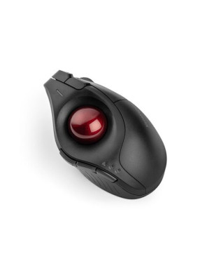 Buy Kensington Pro Fit Ergo Vertical Wireless Trackball K75370WW