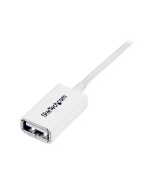 Buy StarTech 3m USB 2.0 Extension Cable A to A USBEXTPAA3MW in White