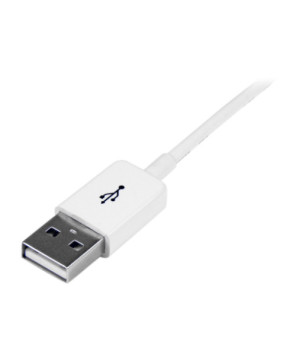 Buy StarTech 3m USB 2.0 Extension Cable A to A USBEXTPAA3MW in White