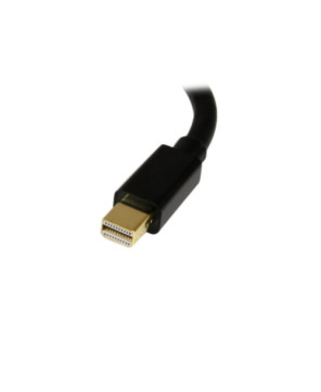 Buy Startech 15.24 cm Mini DisplayPort to DisplayPort Video Cable Adapter in Black MDP2DPMF6IN for Notebook