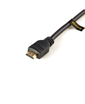 Buy Startech 15m 50 ft Active CL2 In-wall High Speed HDMI Cable HDMM15MA