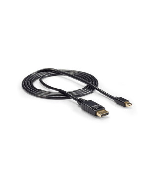 Buy StarTech 3 ft Mini DisplayPort to DisplayPort 1.2 Adapter Cable M/M MDP2DPMM3 - DisplayPort 4k