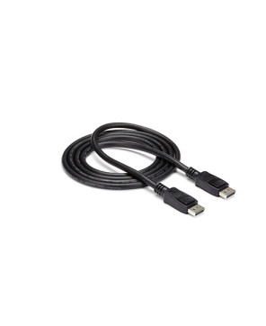 Buy StarTech 10 ft. DisplayPort 1.2 Cable with Latches DISPLPORT10L - Certified