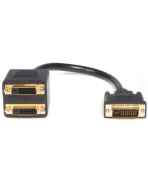 Buy StarTech 1 ft DVI-D to 2x DVI-D Digital Video Splitter Cable DVISPL1DD