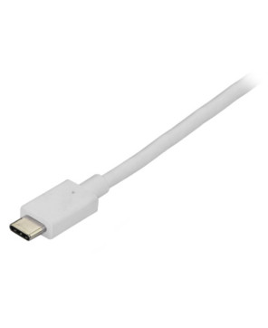 Buy StarTech 6ft USB C to DisplayPort 1.2 Cable 4K 60Hz CDP2DPMM6W