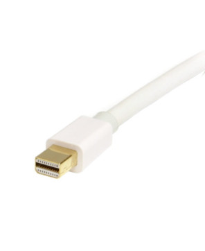 Buy Startech 2M Mini DisplayPort to DisplayPort 1.2 Adapter Cable MDP2DPMM2MW for TV, Monitor