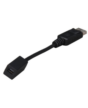 Buy StarTech 6-Inch DisplayPort to Mini DisplayPort Video Cable Adapter DP2MDPMF6IN