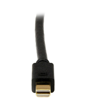 Buy StarTech 10ft Mini DisplayPort to DVI Adapter Converter Cable MDP2DVIMM10B in Black