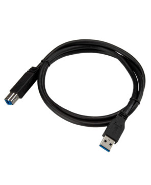 Buy StarTech 1m Certified SuperSpeed USB 3.0 A to B Cable Male to Male USB3CAB1M