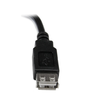 Buy StarTech 6-Inch USB 2.0 Extension Adapter Cable A to A Male to Female USBEXTAA6IN