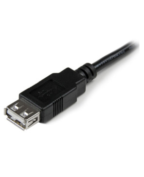 Buy StarTech 6-Inch USB 2.0 Extension Adapter Cable A to A Male to Female USBEXTAA6IN