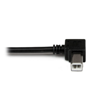 Buy StarTech 1m USB 2.0 A to Left Angle B Cable Male to Male USBAB1ML