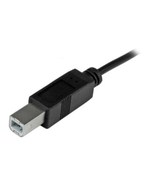 Buy Startech 1m USB-C 2.0 To USB-B Printer Cable in Black USB2CB1M