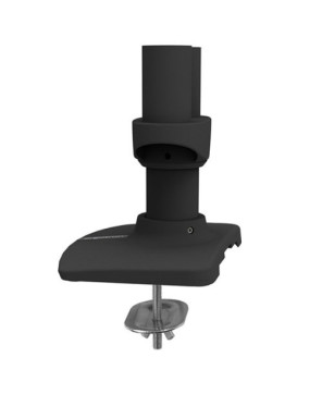 Buy Ergotron LX Dual Desk Mount Side-by-Side Arm in Matte Black 45-245-224 for Monitor