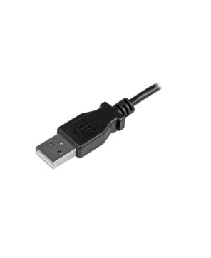 Buy Startech 50CM Data Transfer Cable USBAUB50CMLA for Tablet, Notebook