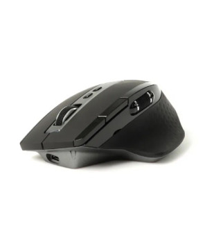 Buy Rapoo MT750S Multi-Mode Bluetooth & 2.4G Wireless Mouse MT750S.BLACK