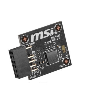 Buy MSI TPM 2.0 (MS-4462) Module for MSI Intel 400, MSI AMD 500 Series Motherboards