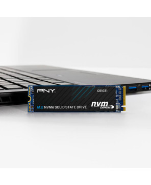 Buy PNY CS1031 256GB M.2 2280 NVMe Gen3x4 SSD