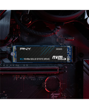 Buy PNY CS1031 256GB M.2 2280 NVMe Gen3x4 SSD