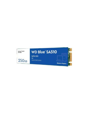 Western Digital Blue SA510 250GB SATA M.2 SSD WDS250G3B0B for Desktop PC