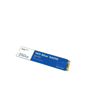 Western Digital Blue SA510 250GB SATA M.2 SSD WDS250G3B0B for Desktop PC