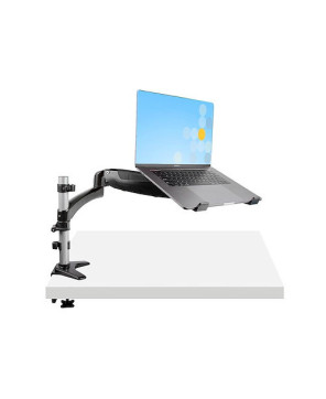 Buy StarTech Desk Mount Laptop Arm ARMUNONB1