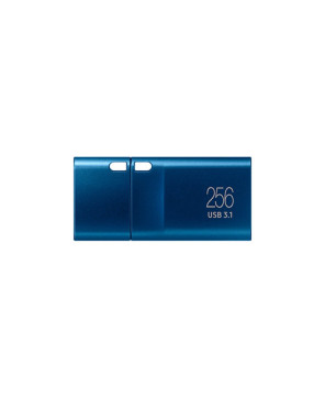 Buy Samsung 256GB USB-C Flash Drive MUF-256DA/APC