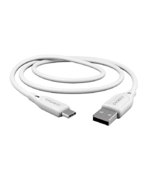 Cygnett Essentials 2m USB-C to USB-A Charge and Sync Cable CY4690PCUSA